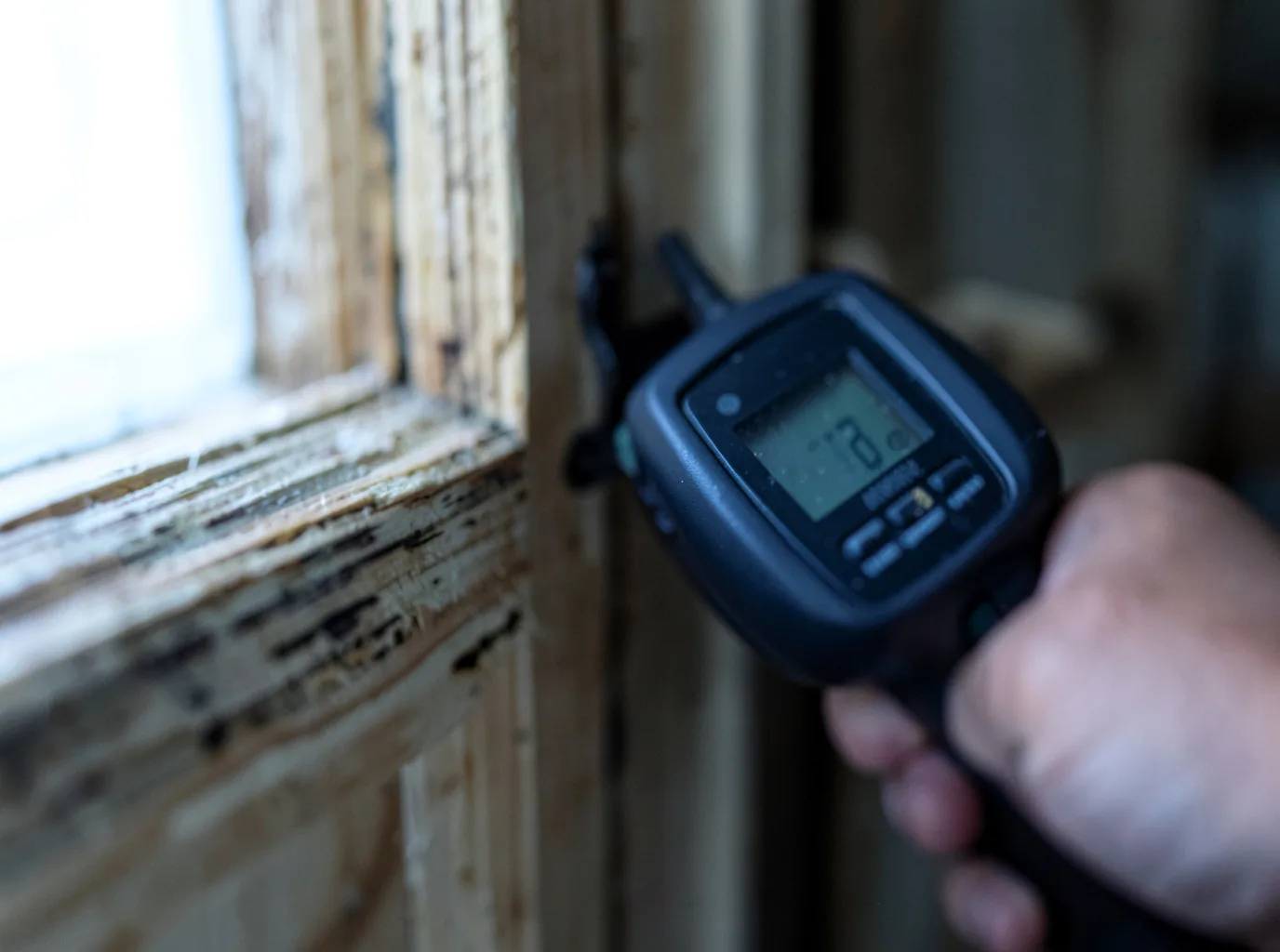 Moisture Inspection And Documentation in Leaf River, IL